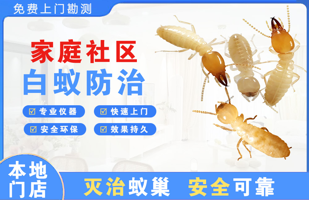铜仁家庭社区白蚁防治