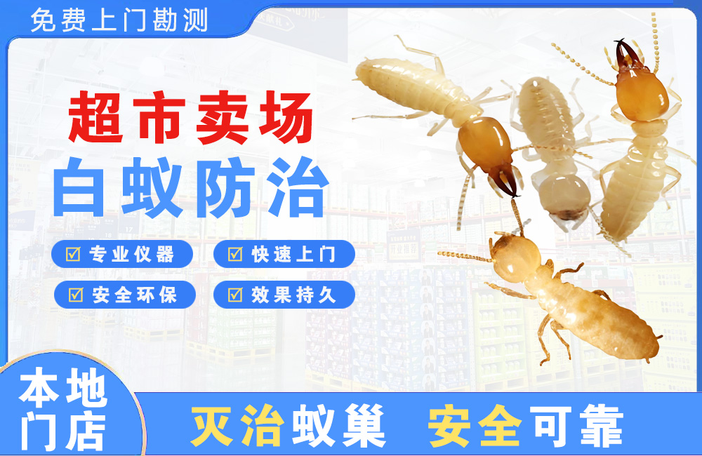 铜仁超市卖场白蚁防治