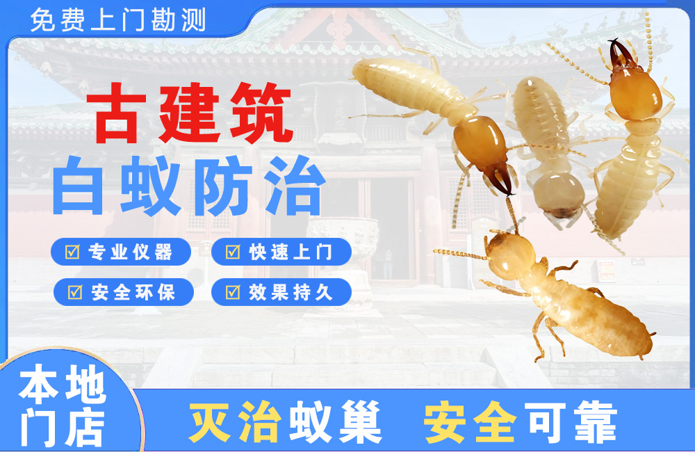 铜仁古建筑白蚁防治