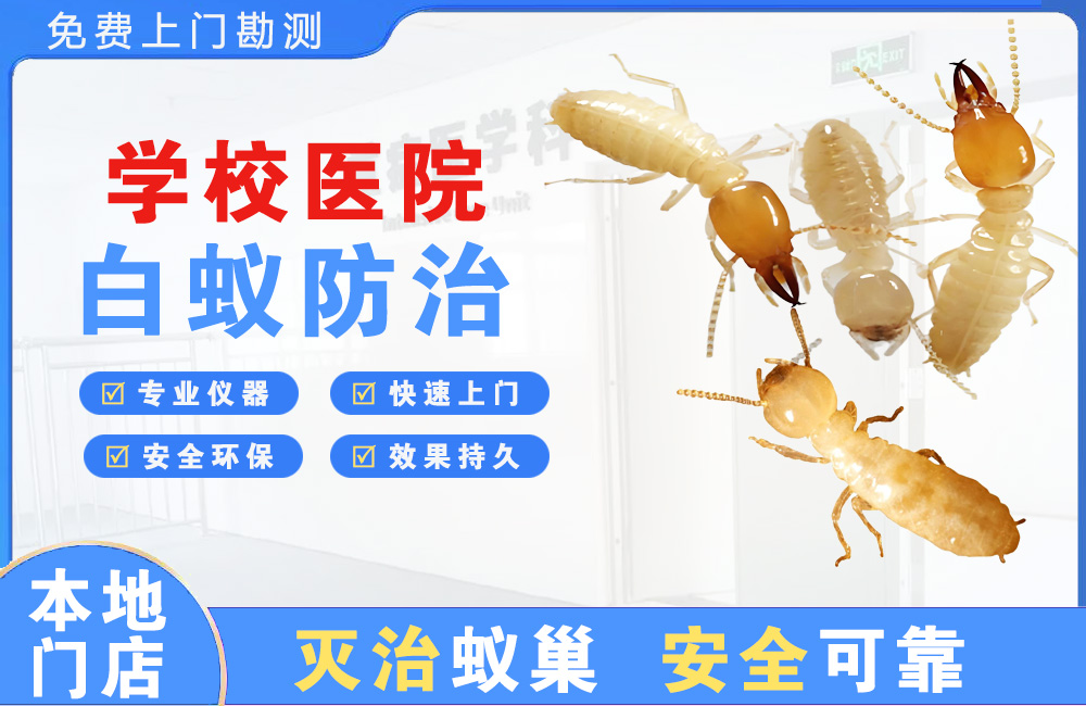 铜仁学校医院白蚁防治