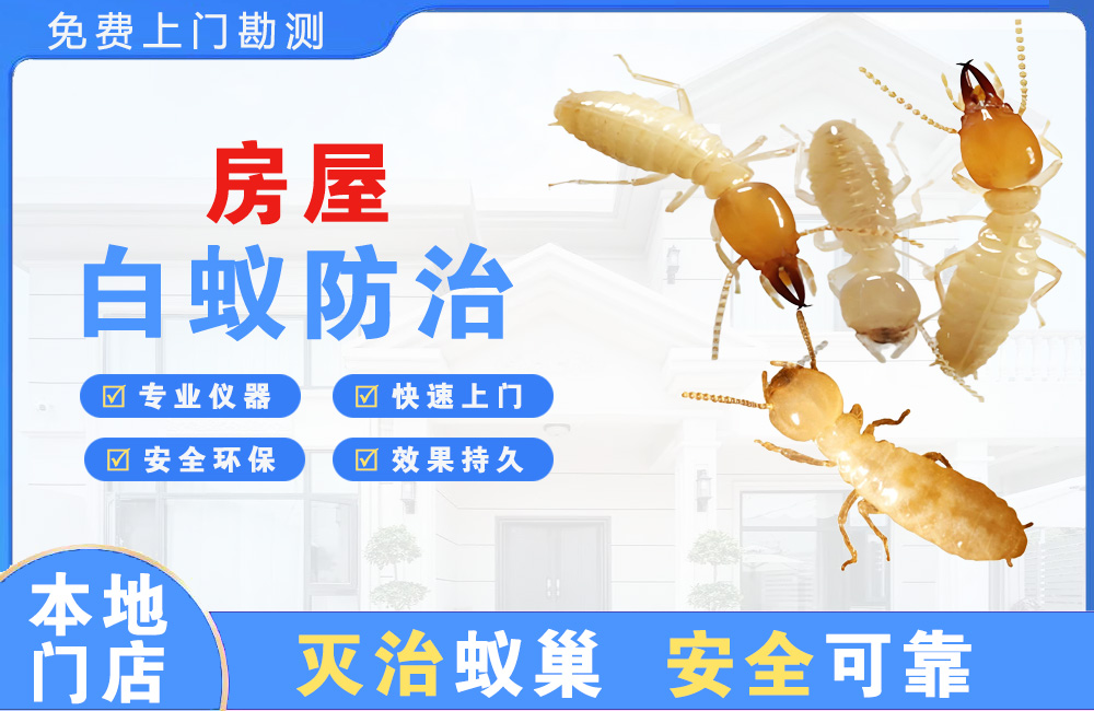 铜仁房屋白蚁防治