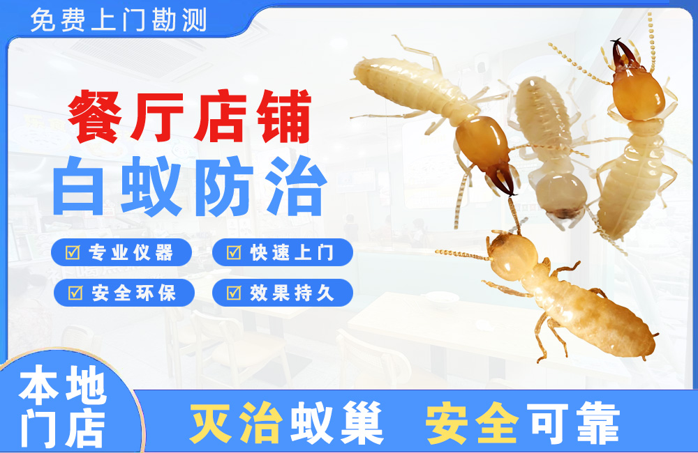 铜仁餐厅店铺白蚁防治